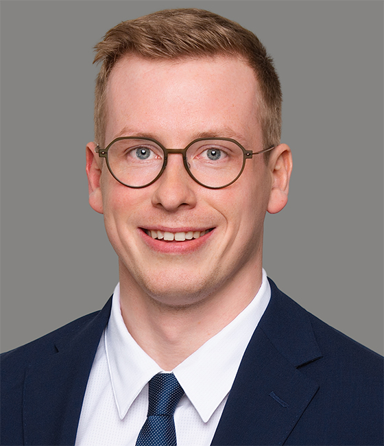 Raphael Geißen, PhD, Consultant at Bluestar BioAdvisors