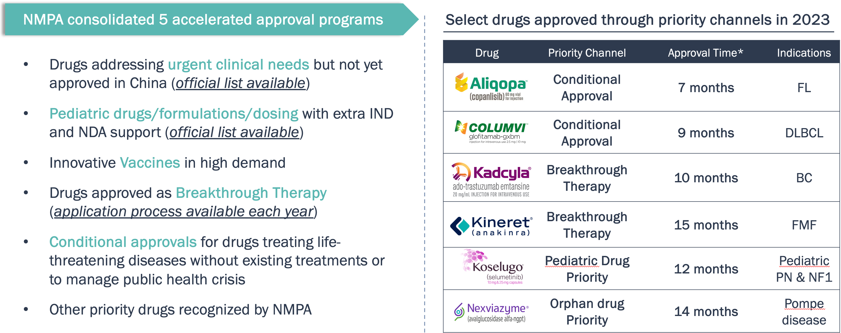 Chart showing select drugs approved through priority channels.