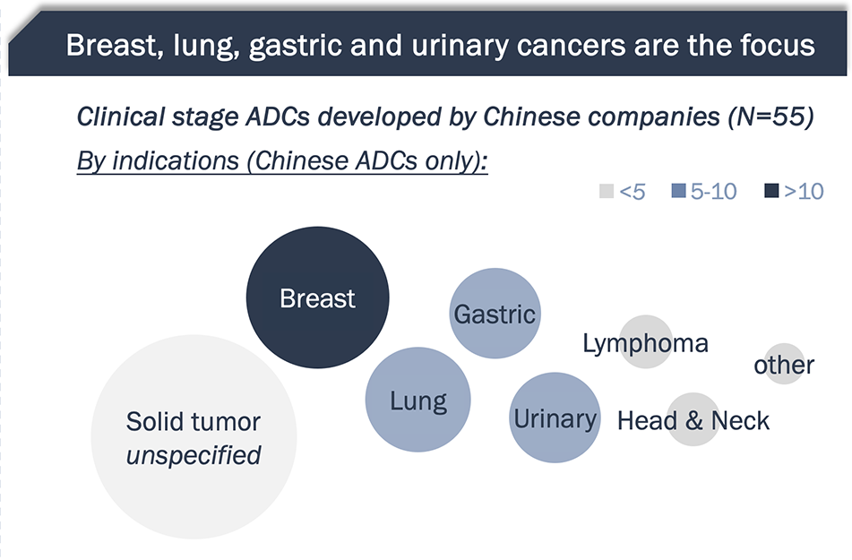 Graphic shows clinical stage ADCs developed by Chinese companies broken down by indications