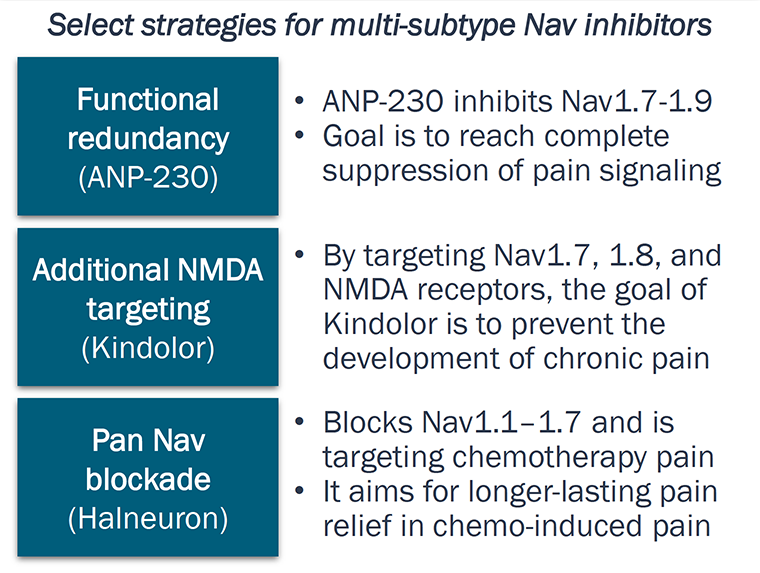 Table showing strategies for multi-subtype Nav inhibition, including combined Nav1.7-1.9 targeting and broader pan-Nav blockade, as well as multimodal approaches (e.g., NMDA co-targeting) to achieve more complete suppression of pain signaling and improve chronic pain efficacy.