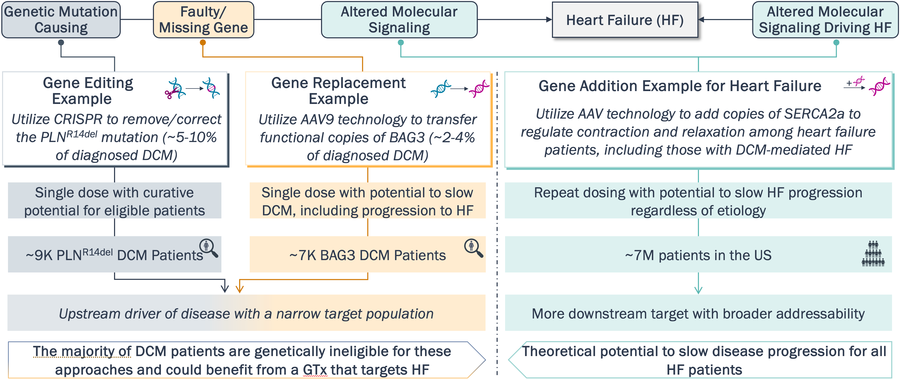 Graphic illustrating how gene therapy approaches with downstream applications might benefit a greater number of patients