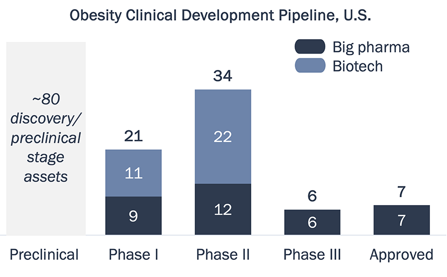 Bar chart comparing the number of assets being developed for the obesity market by Big Pharma versus Biotech at each stage of the pipeline